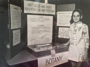 A young Colleen Chamberlin stand by her 3-panel science fair poster titled "Drift Seeds and Fruits: Identification and Research"